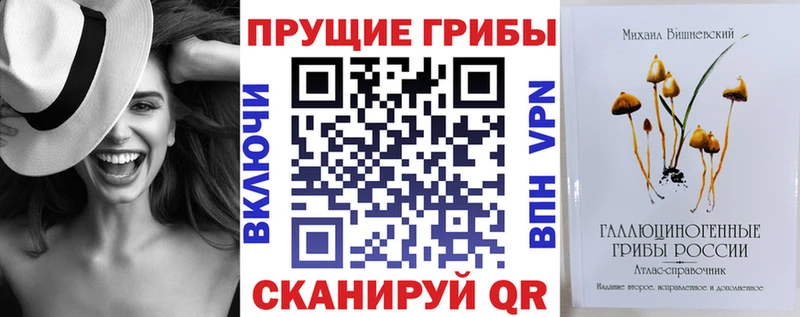 Псилоцибиновые грибы мицелий  Тамбов 
