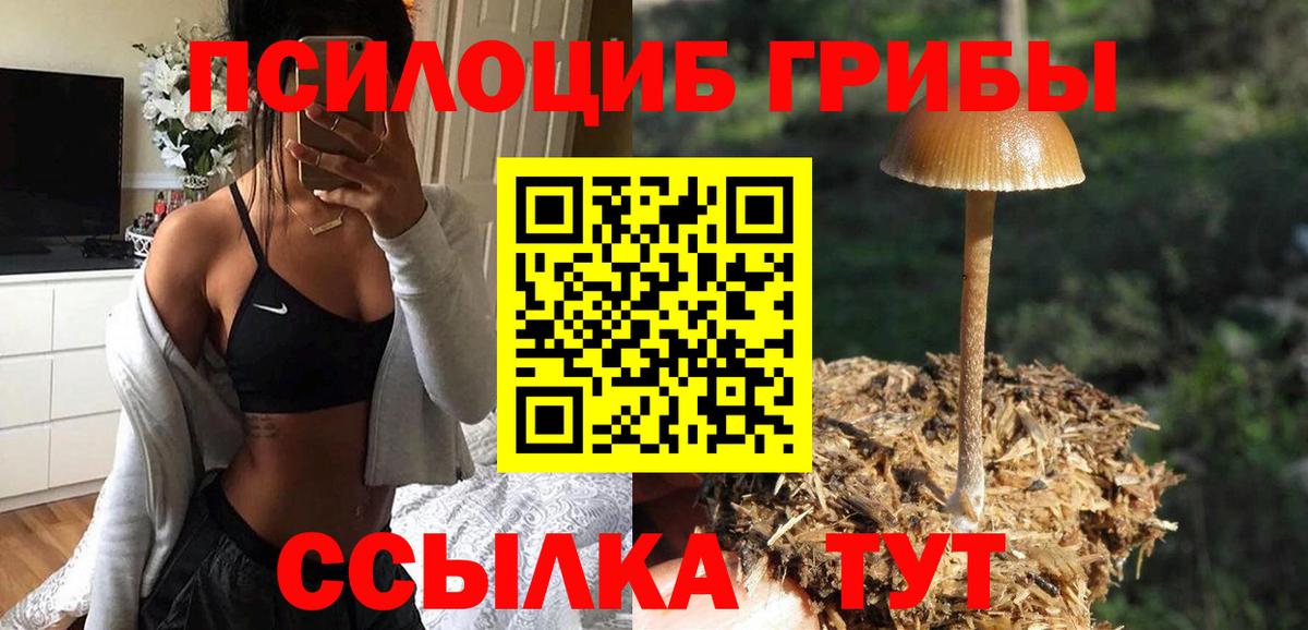 Псилоцибиновые грибы GOLDEN TEACHER  Галлюциногенные грибы мухоморы  Тамбов  Вход с VPN 