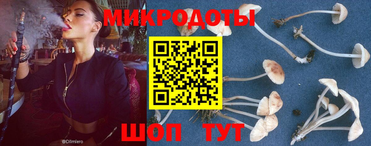 Псилоцибиновые грибы мицелий Тамбов